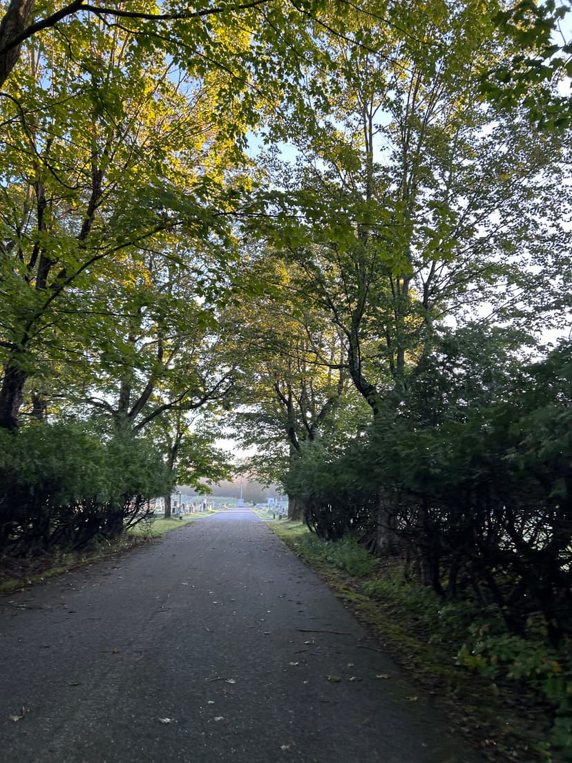 Aug 19th -  morning road run