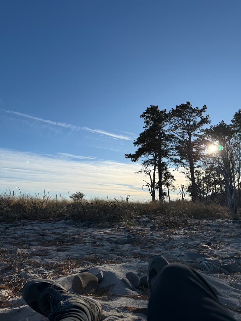 Dec 6th - beach hike